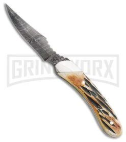 Bear & Son India Stag Caper Fixed Blade Knife - Damascus Plain