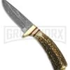 Rite Edge Whitetail Husk Brown Stag Fixed Blade Knife - Damascus Plain -Best Knife Shop Grindworx Whitetail Husk Brown Stag Damascus DM1046 BP 21543 jr large