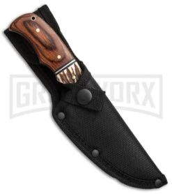 Schrade Limited Edition Walden 70th Anniversary Fixed Blade Knife - Satin Plain -Best Knife Shop Schrade Walden 70th Anniversary Fixed SCPROM 16 37CP BHQ 49205 jr sheath large