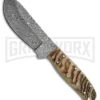 Tallen Big Game Brown Horn Fixed Blade Knife - Damascus Plain 2 Tallen Big Game Brown Horn Fixed Blade Knife - Damascus Plain -Best Knife Shop tallen big game brown horn damascus BP 29664 jr large
