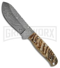 Tallen Big Game Brown Horn Fixed Blade Knife - Damascus Plain